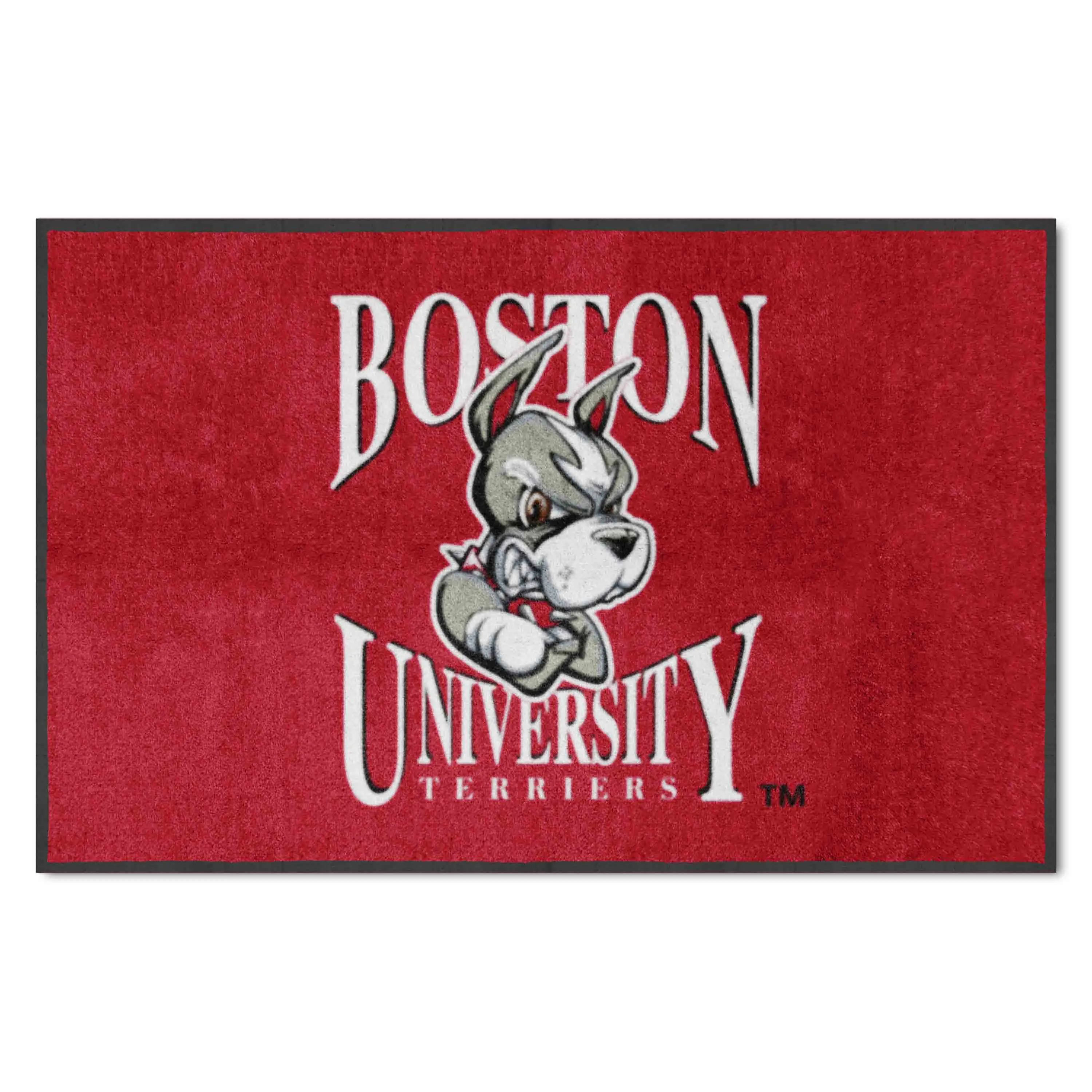 Boston 4X6 High-Traffic Mat with Durable Rubber Backing - Landscape Orientation