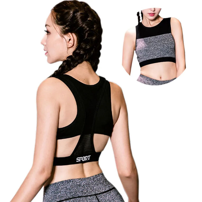 Color Accent Full Mesh Covered Back Sports Bra